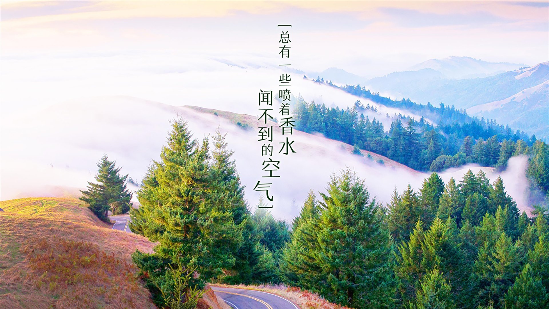 《强阵容对决:极具看点的顶级战队对决》,阵容强大下一句是什么