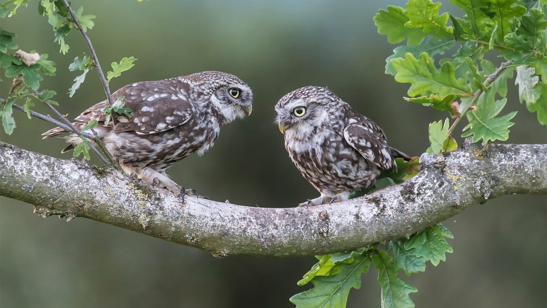 乡村越野跑，享受自然的洗礼，农村越野场地