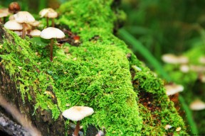 开云体育在线入口-《CS_GO全球门票赛，豪强集结现场火爆》，csgo豪门战队