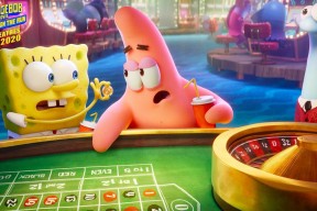 Kaiyun APP-德国马术协会与非洲马术协会开展技术援助项目，提升当地水平。