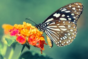 开云·体育官方网站入口-中国U23代表队力克日本晋级四强，中国u23足球队