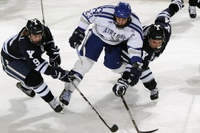 开云下载-拉文失误频发公牛终结连败，拉文31分率公牛取季前赛四连胜